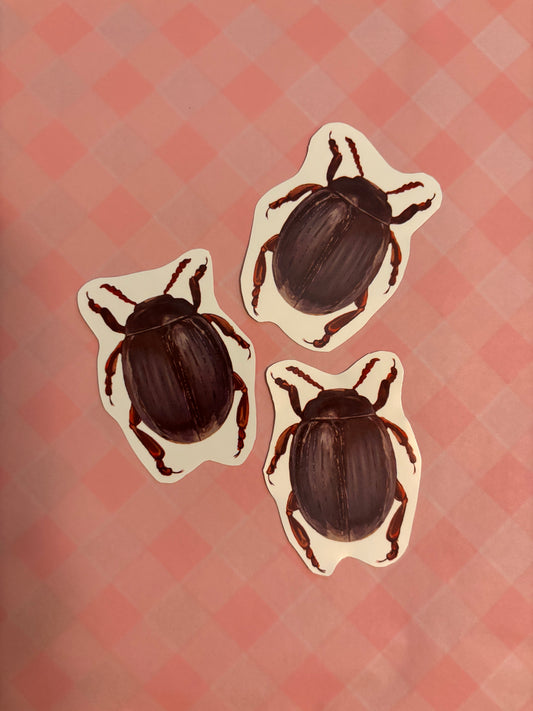 Set of 3 Beetle Stickers