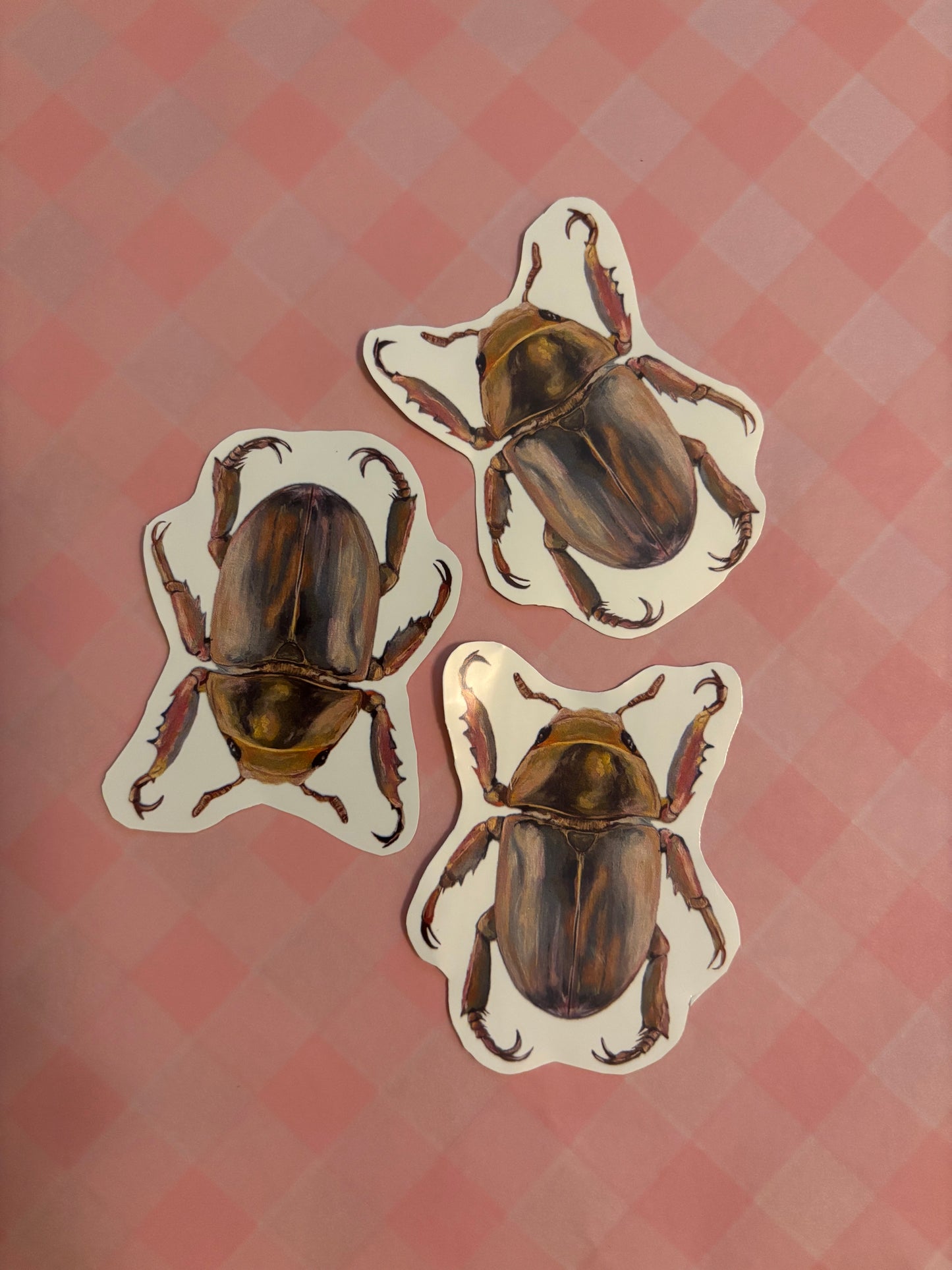 Set of 3 Beetle Stickers