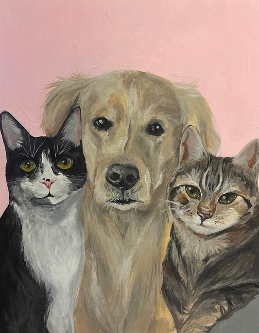 Pet Portraits