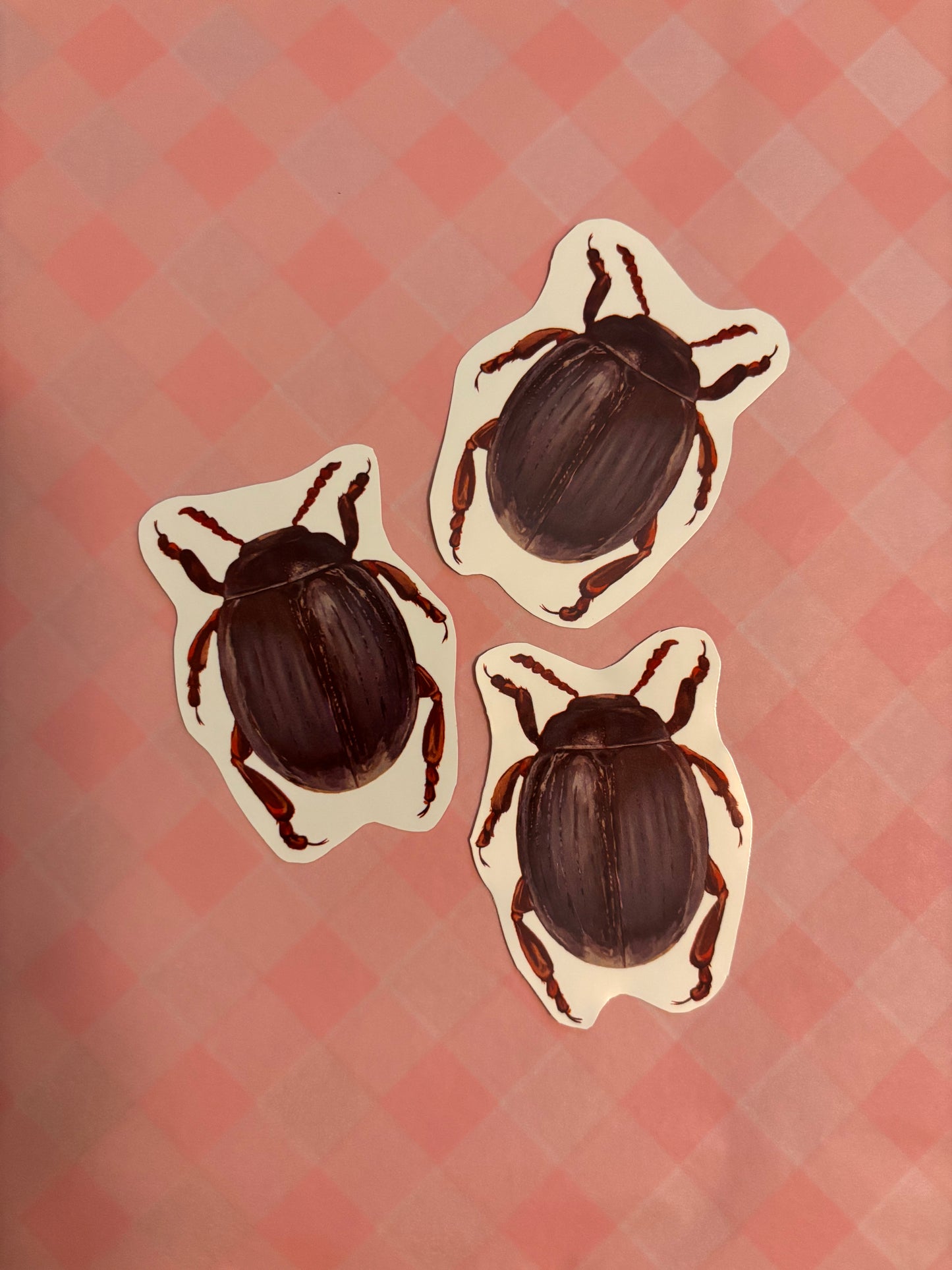 Set of 3 Beetle Stickers