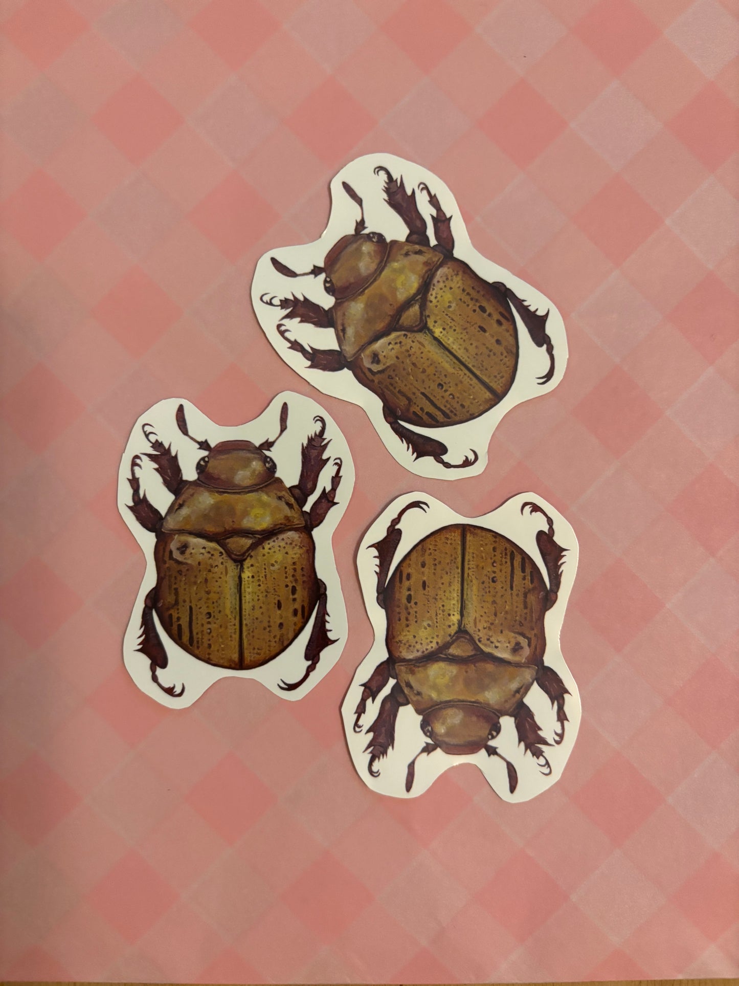 Set of 3 Beetle Stickers