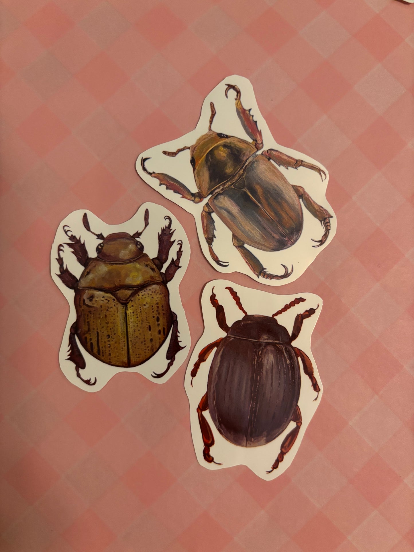 Set of 3 Beetle Stickers