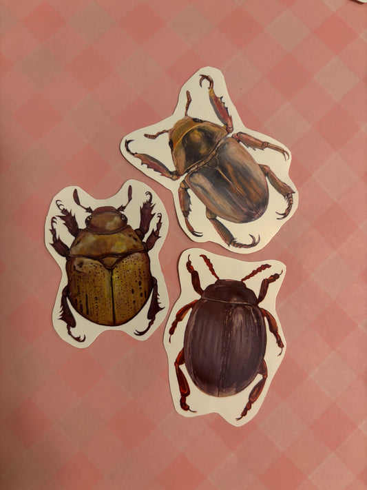 Set of 3 Beetle Stickers
